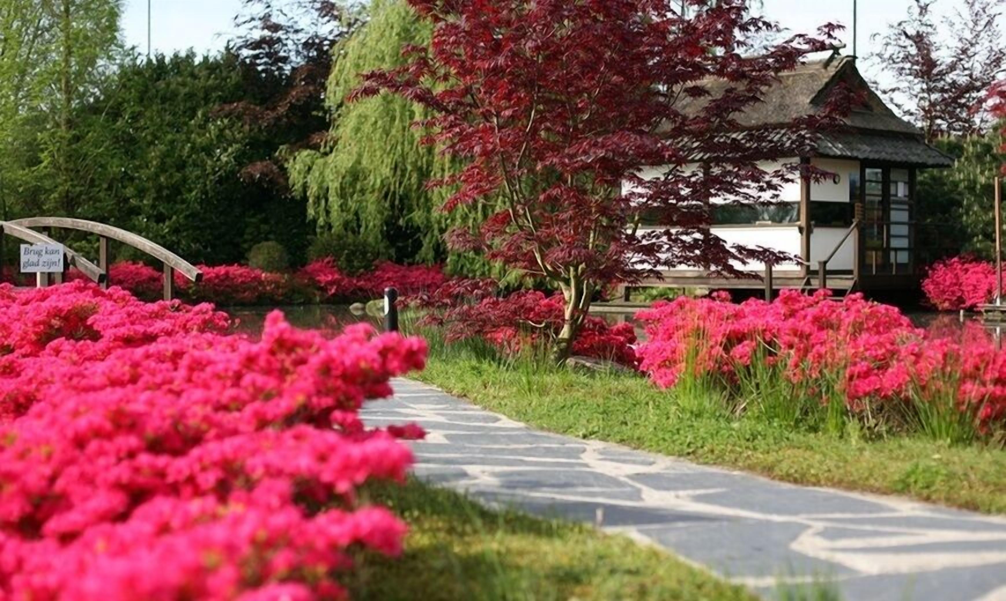 Un camino bordeado de flores rosadas, un edificio de estilo tradicional y un letrero que indica un estacionamiento.