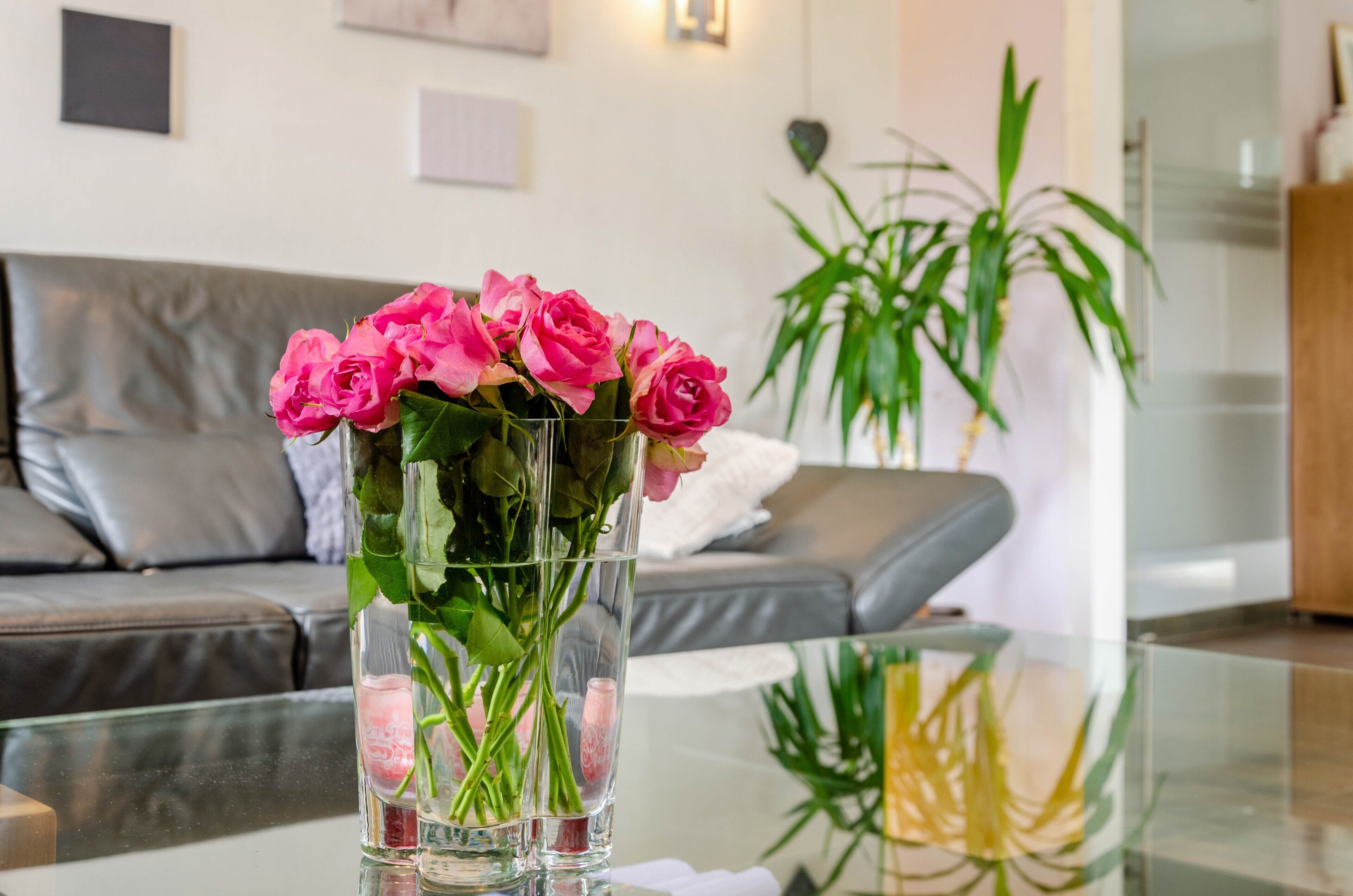 TV, fireplace, stereo