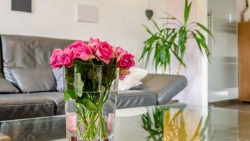 TV, fireplace, stereo