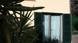 Un bâtiment avec une porte verte et une fenêtre avec un rideau. On aperçoit une plante au premier plan.