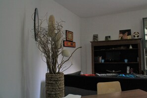 TV, books