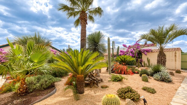 A garden with various cacti and palm trees, a stone pathway, and a building with a tiled roof. - Guest Rooms 'La Palmeraie' with Sea View, Wi-Fi and Air Conditioning (Portiragnes)