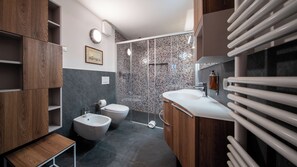Shower, hair dryer, bidet, towels