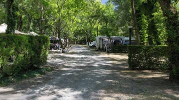 Terrein van de accommodatie