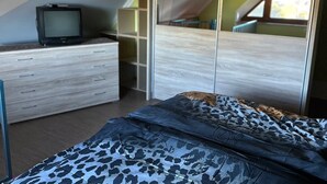 A bedroom with a bed, a dresser, a television, and a large mirror.