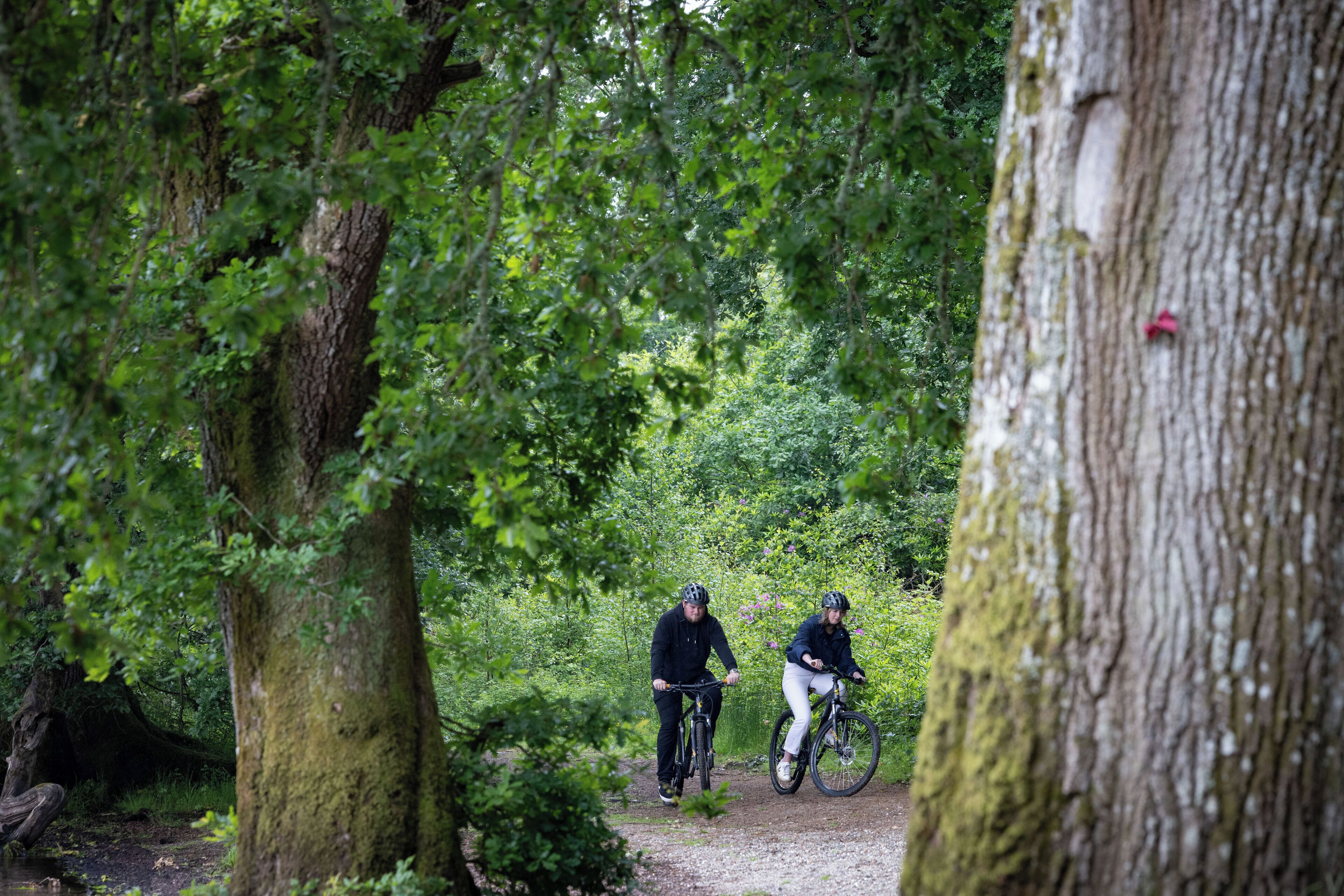 Two cyclists on a gravel path surrounded by trees.