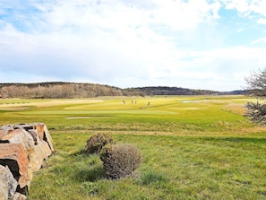 Un parcours de golf avec un mur de pierres, un petit buisson et une colline qui se dessine à l’horizon.