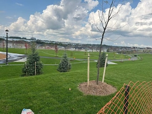 Campo esportivo