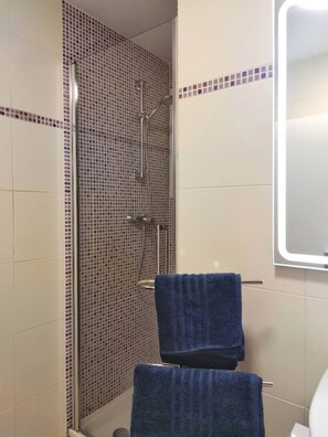 Shower, towels, soap, toilet paper
