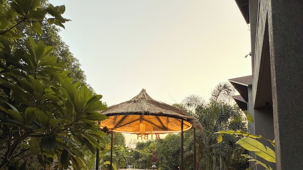 Unclassified image, 1 of 19, button - THE BALI HOUSE (Bhopal)
