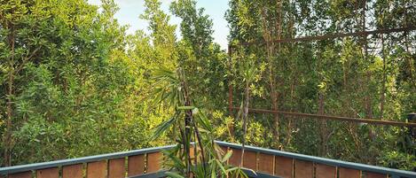 Una planta en maceta en un balcón con vistas a una zona boscosa.