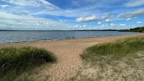 A beach with a sandy path leading to the water, surrounded by grass and trees under a partly cloudy sky. - 4 Person Holiday Home in Arkelstorp (Arkelstorp)