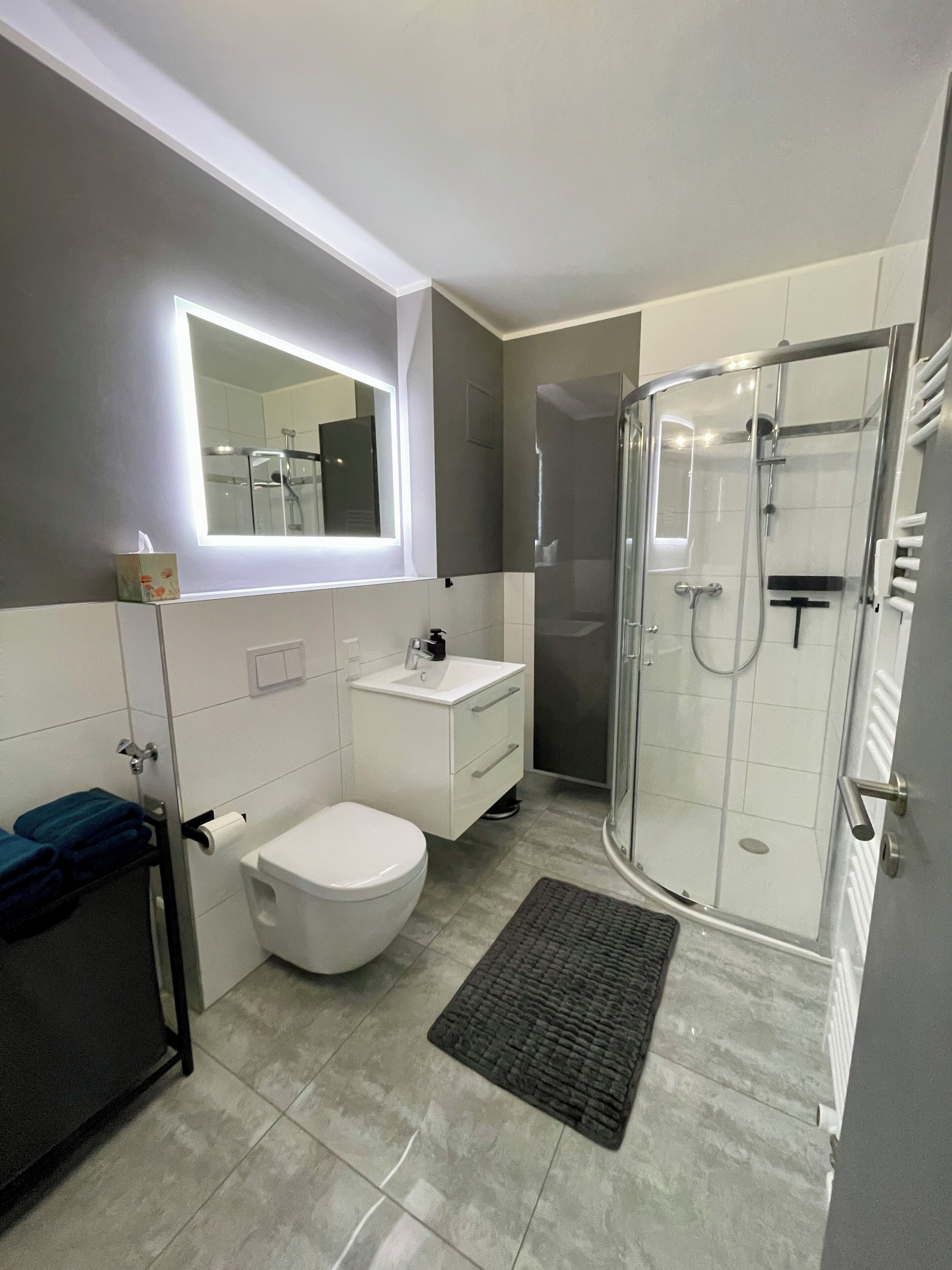 Hair dryer, towels, soap, toilet paper