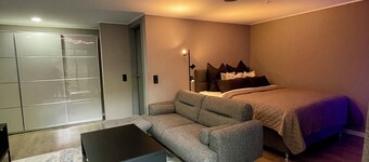 Luxury Apartment Hanover