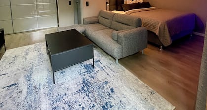 Luxus Apartment Hannover