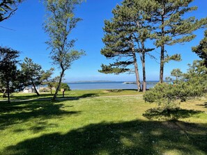 A grassy area with trees and a view of a body of water and a bridge.