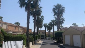 A residential street lined with palm trees and houses.