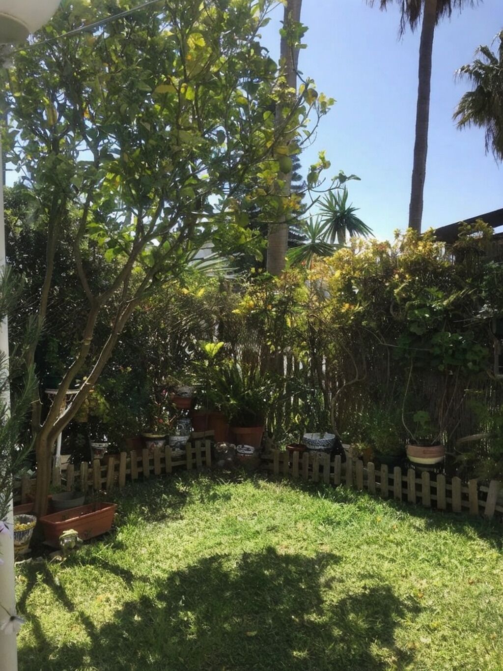 A lush garden with various potted plants and a wooden fence.