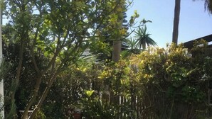 A lush garden with various potted plants and a wooden fence.