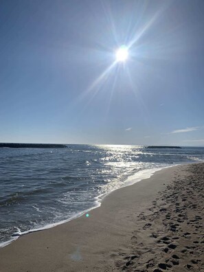 Playa en los alrededores 