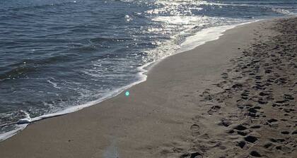 Valras-Plage Luxury: Sea Views, Jacuzzi & Pool!