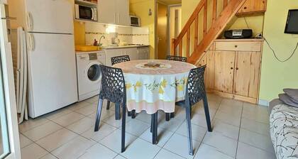 Les Florentines Summa