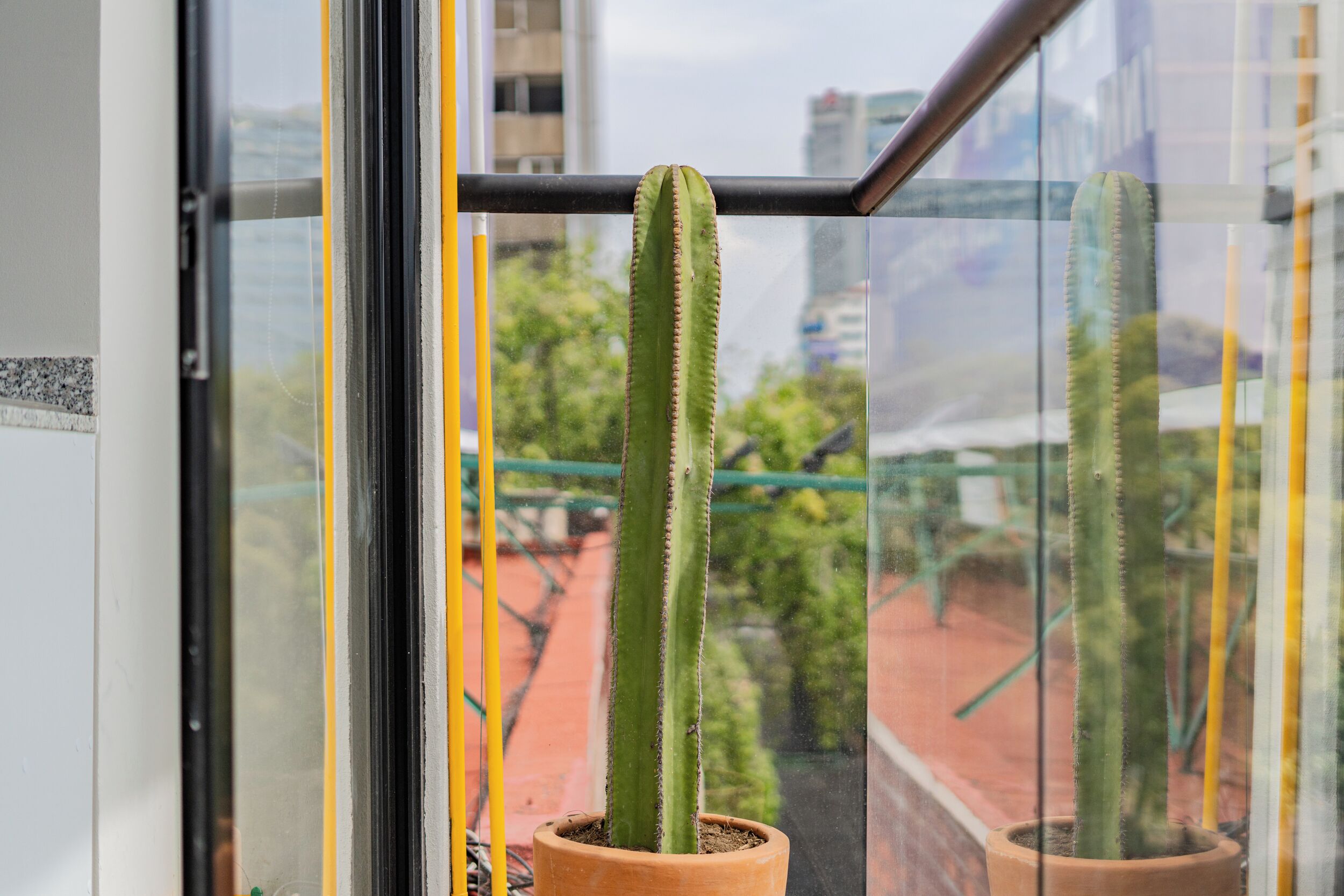 Utsikt fra overnattingsstedet