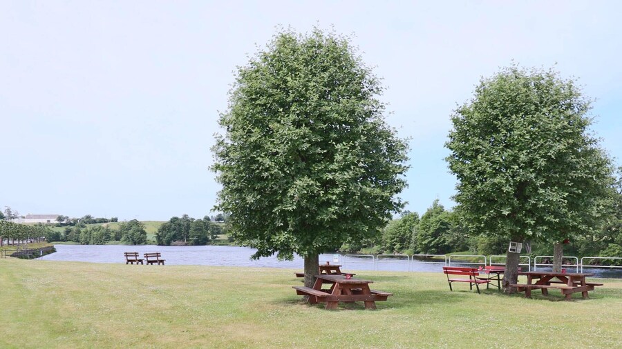 4 Star Holiday Home in Mellbystrand