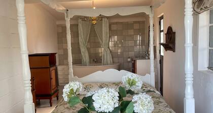 Room-honeymoon Stay at The James Family