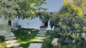 Un chemin de jardin qui mène à un bâtiment à la façade blanche, sur lequel est installée une antenne parabolique.