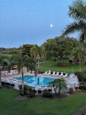 Pool - 2-bedroom 2-bathroom condo in East Naples (Naples)