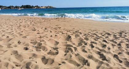 Main St Hideaway: Near Lee Street Beach: Northwestern University: Transit