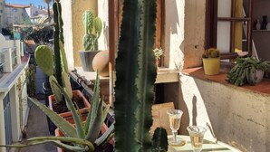 A patio with a table under a large umbrella, surrounded by potted cacti and succulents. - Le Cosy Antibois - Proche Marché Provençal (Antibes)
