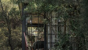 A stone pathway leading to Villa Santa, surrounded by lush greenery and a metal staircase. - Armadillo Mágico (Armadillo de los Infante)