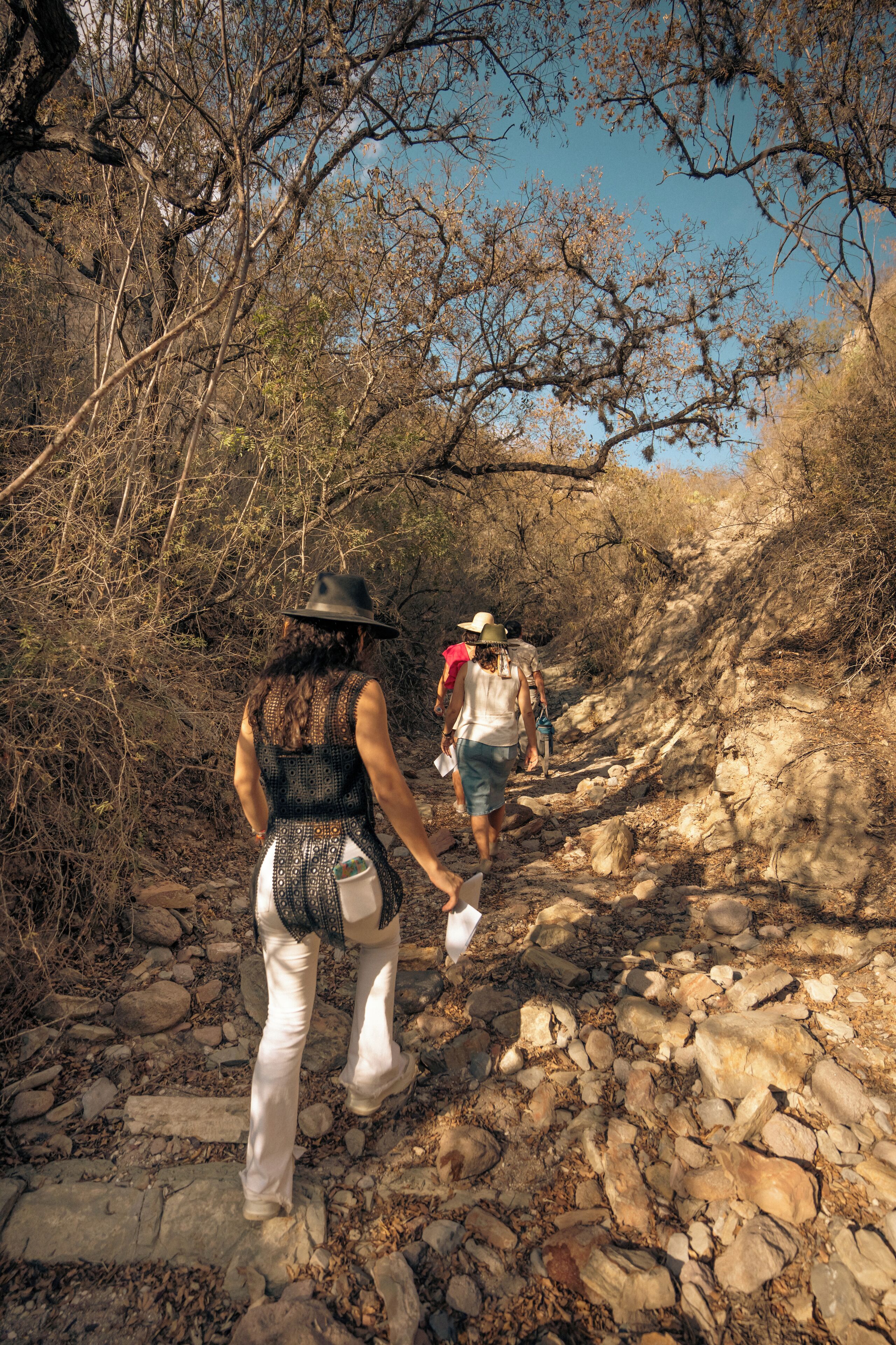 A rocky hiking trail with trees and a clear sky.