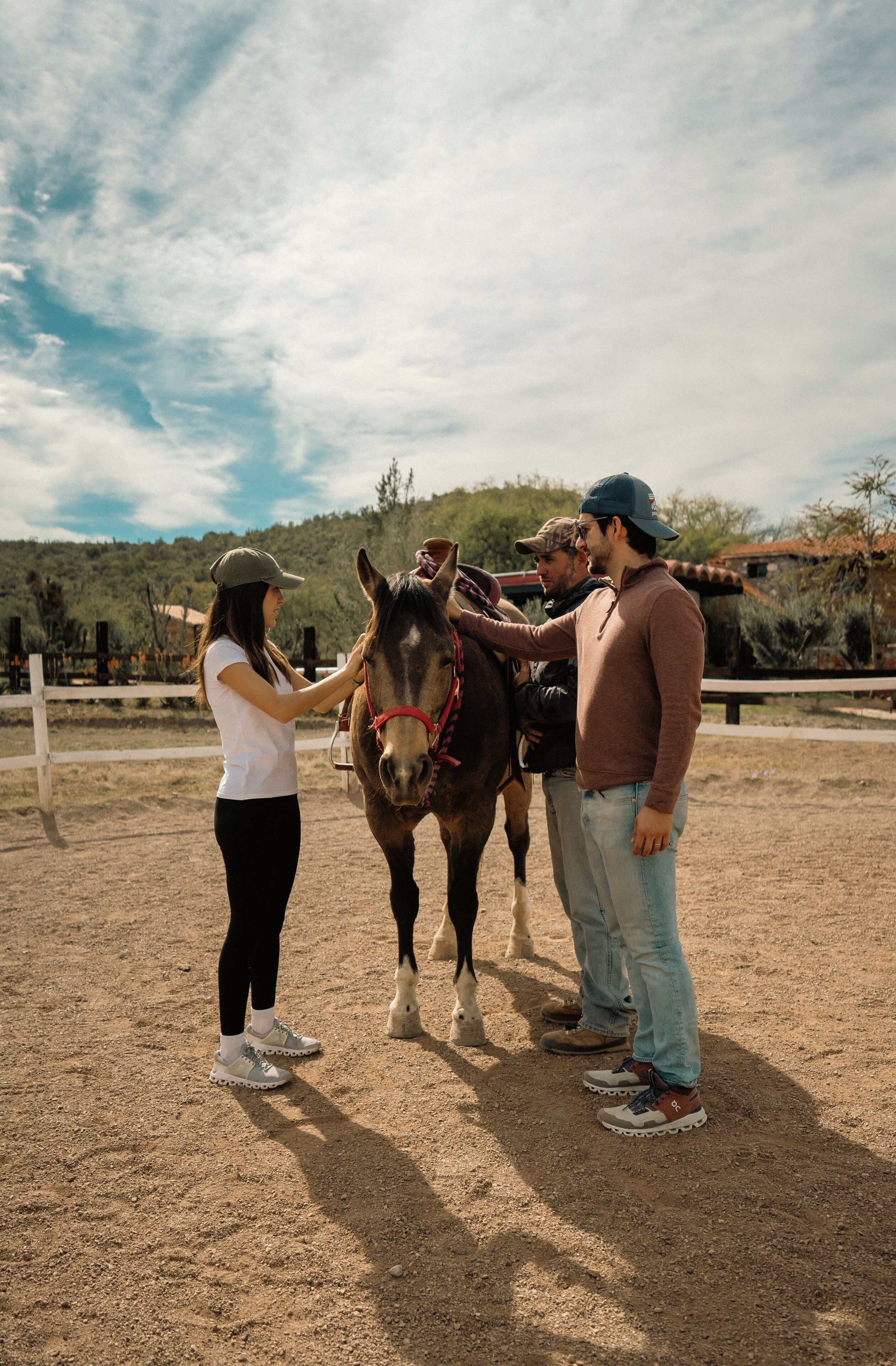 Una persona interactuando con un caballo en un entorno al aire libre.