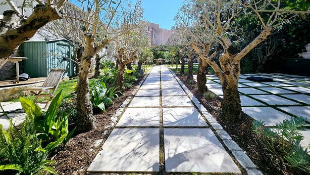 A pathway lined with trees and plants, leading to a seating area with a table and chairs.