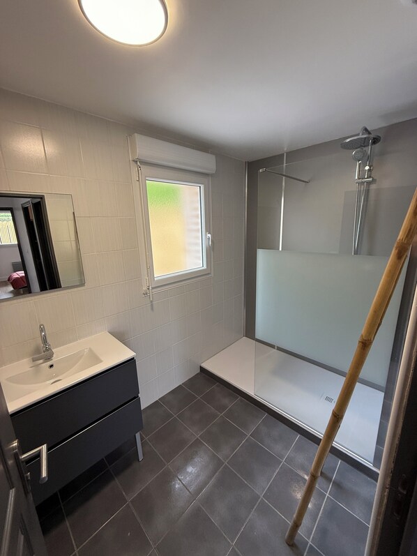 Shower, hair dryer, toilet paper