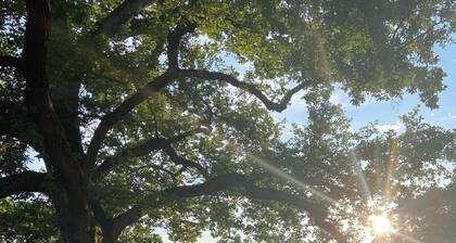 Villa La Quercia Countryhouse