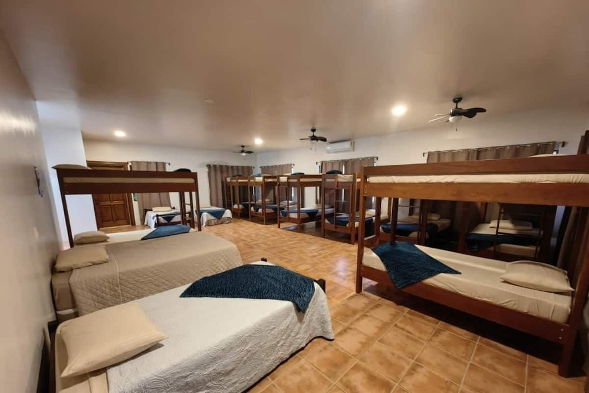 Comfort Shared Dormitory | Individually decorated, individually furnished, blackout drapes