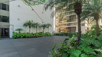 Área da propriedade