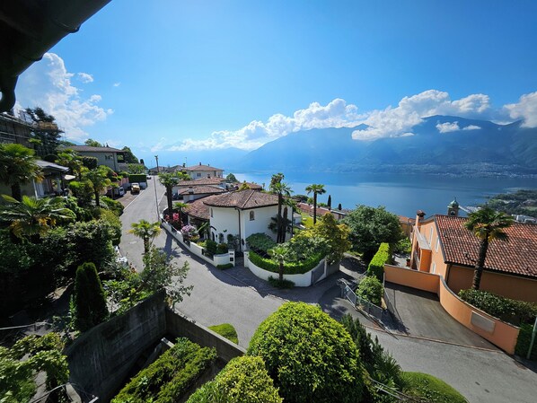A residential area with houses, a road, and a lake.