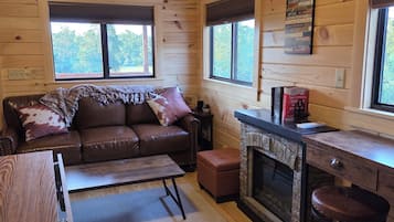 Smart TV, fireplace, books