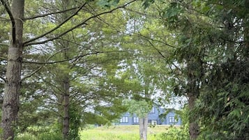 Boendeområde