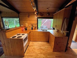 Fridge, oven, stovetop, dishwasher