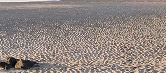 Les Rigadelles: New single-storey house near the beach and shops in Plougoulm