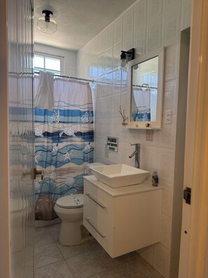 Shower, hair dryer, towels, soap