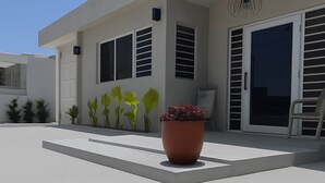 Un bâtiment moderne doté d’un toit plat, de grandes fenêtres et d’une plante en pot placée au premier plan.