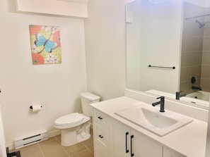 Hair dryer, towels, soap, toilet paper