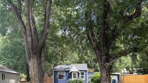 Een woonhuis met een blauw huis, grote bomen en een verzorgd gazon.